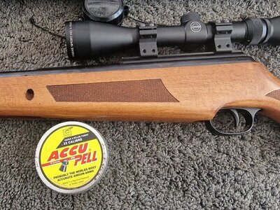 BSA Bsa lightning .22