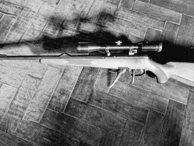 Steyr Mannlicher 222 Bolt Action .222 Rifle