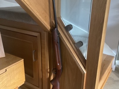 BSA Airsporter  .22