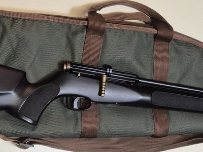 Webley & Scott Spector Spectre PCP .22