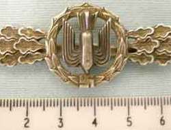 Luftwaffe Heavy / Medium & Dive Bombers Squadron Clasp in GOLD. N 38 - N 38 Luftwaffe Heavy / Medium & Dive Bombers Squadron Clasp in GOLD.  Other Accessory