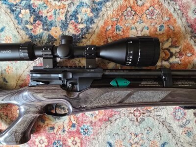 Weihrauch HW110 .22