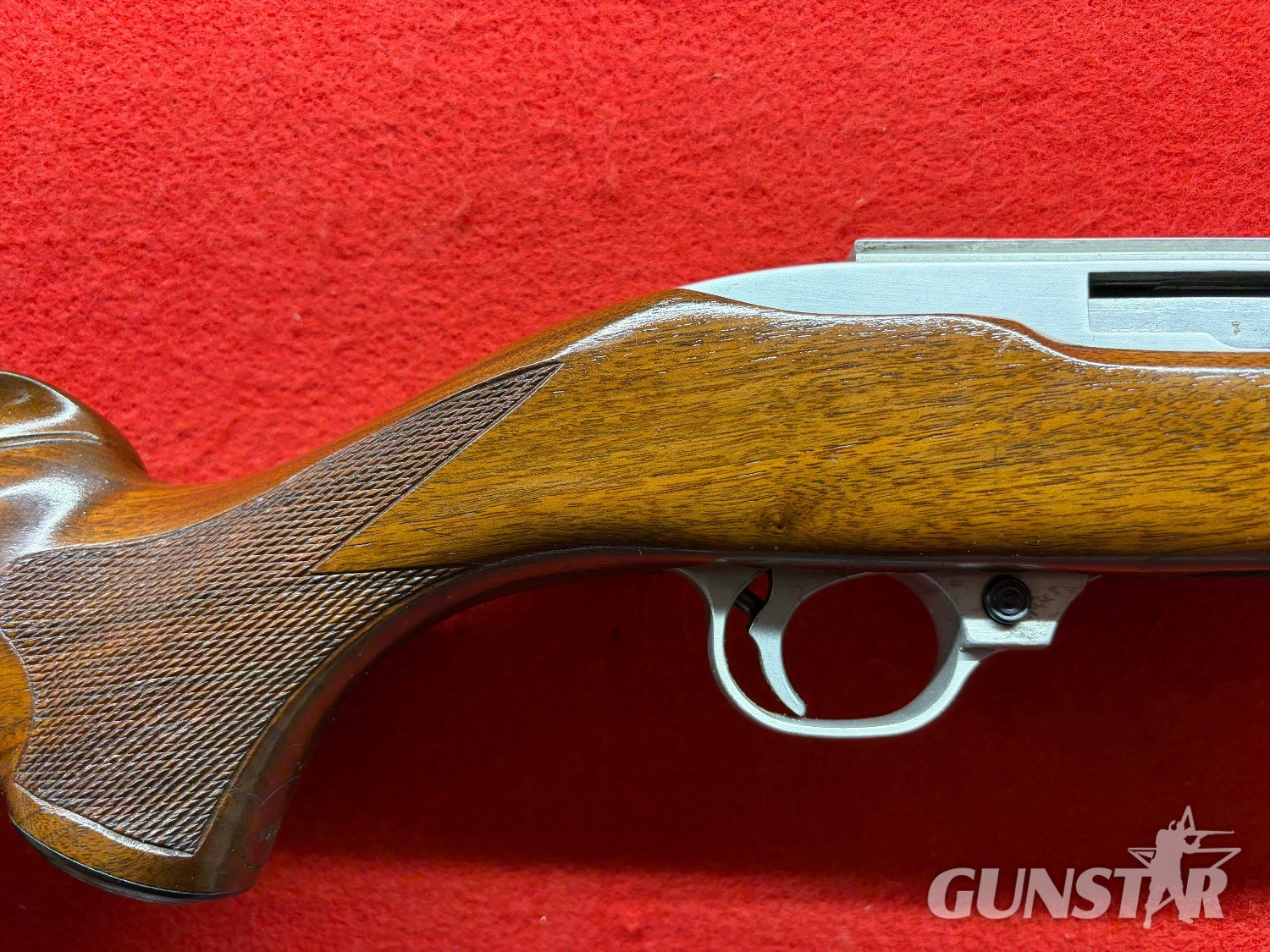 Tiger 10-22 Semi-Auto .22 RF Rifle