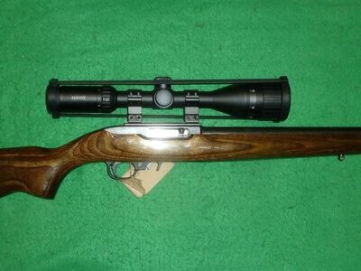 Ruger 10/22 Semi-Auto .22 LR Rifle