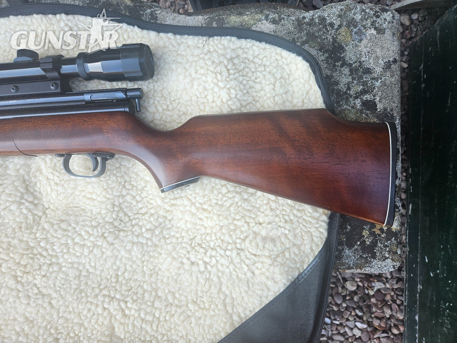 Sharps ace Sharps ace .22
