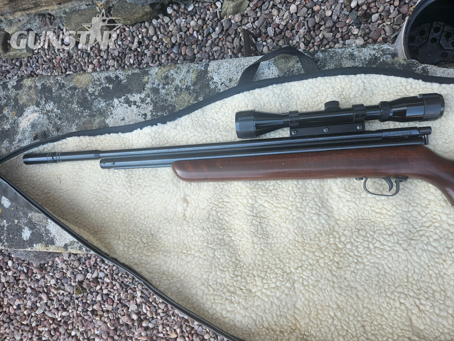  Sharps ace Sharps ace .22