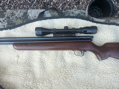 Sharps ace Sharps ace .22