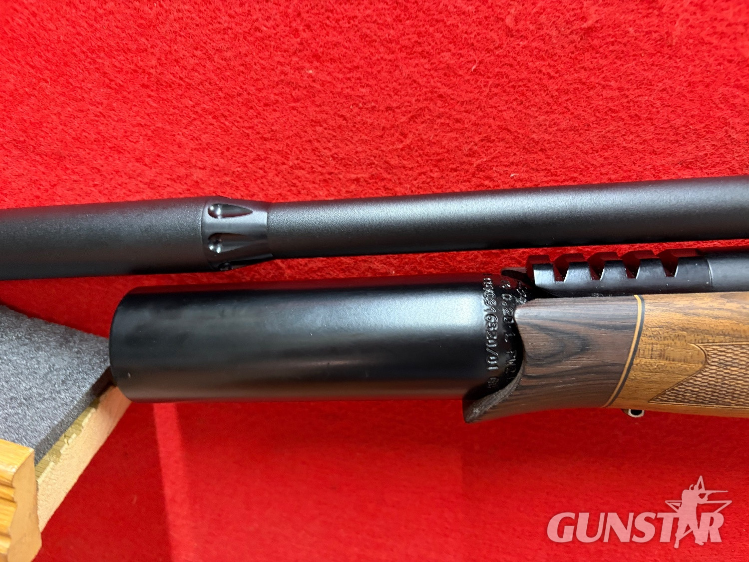{CATEGORY} - BSA R10SE .22
