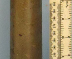 INERT DEACTIVATED Unfired German WW2 3.7cm SC/30 (37x380R) Round With An Unfired INERT DEACTIVATED Unfired German WW2 3.7cm SC/30 (37x380R) Round With An Unfired Antique & Militaria