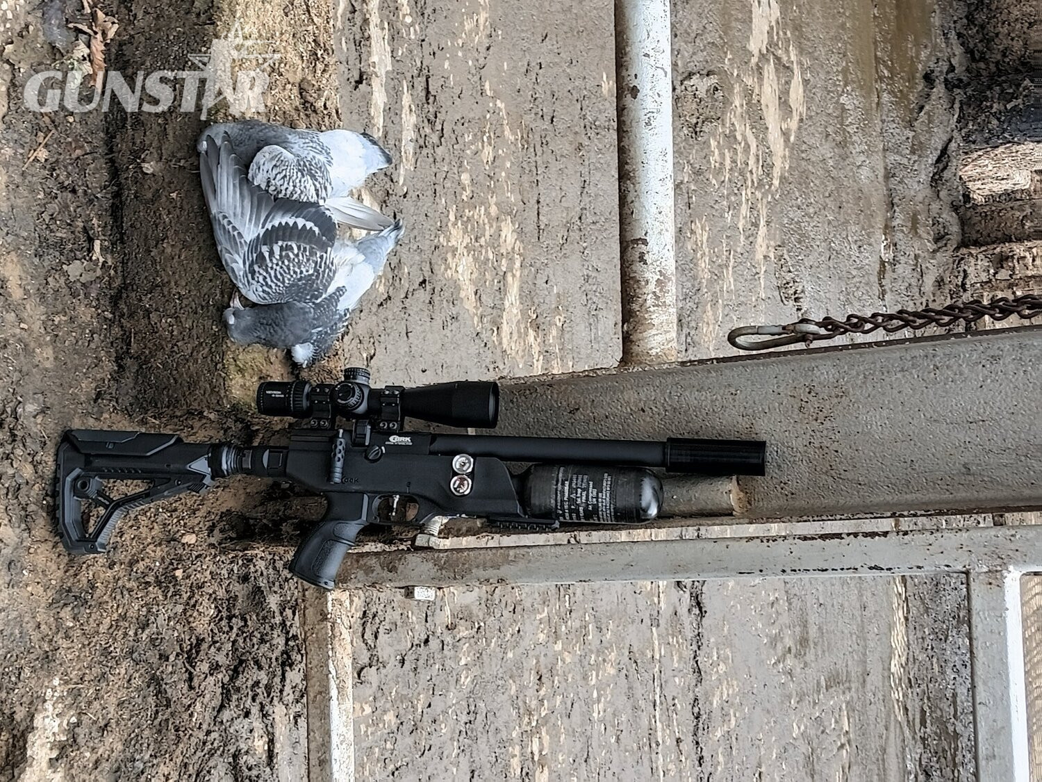 Brk pathfinder xr 177 sale or swap for hw97  Fx impact mk2 possible swaps  .177 in 