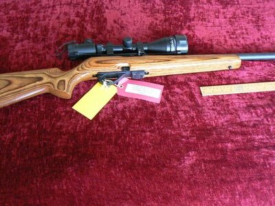 Remington 597 Semi-Auto .22 Rifle