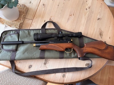 BSA Ultra .22