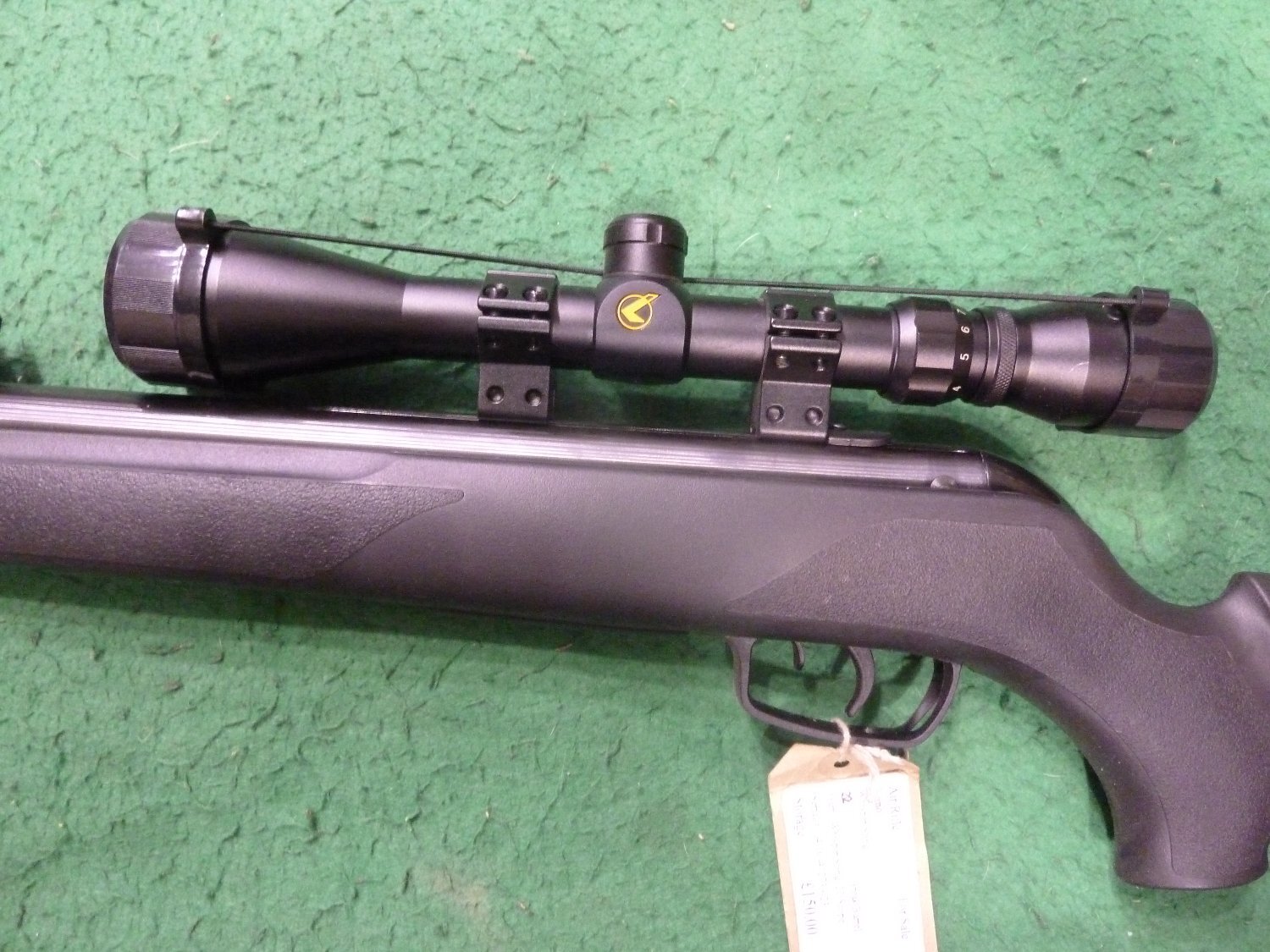  Gamo Whisper Sting .22