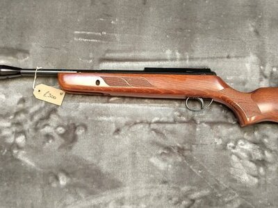 BSAli Lightning .22