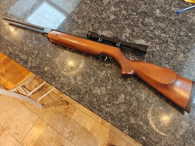 Weihrauch HW80 K .22