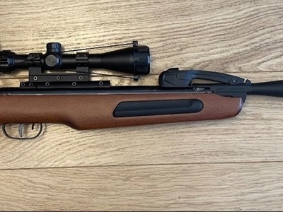 Gamo Maxxim Elite Multishot .22