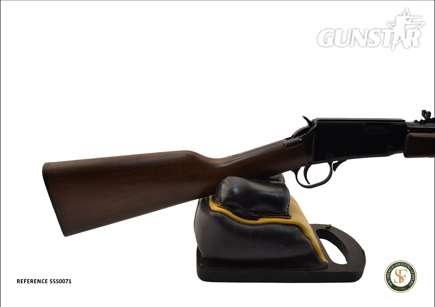  Henry Repeating Arms H003T Pump Action .22 Long Rifle (.22 LR) Rifle