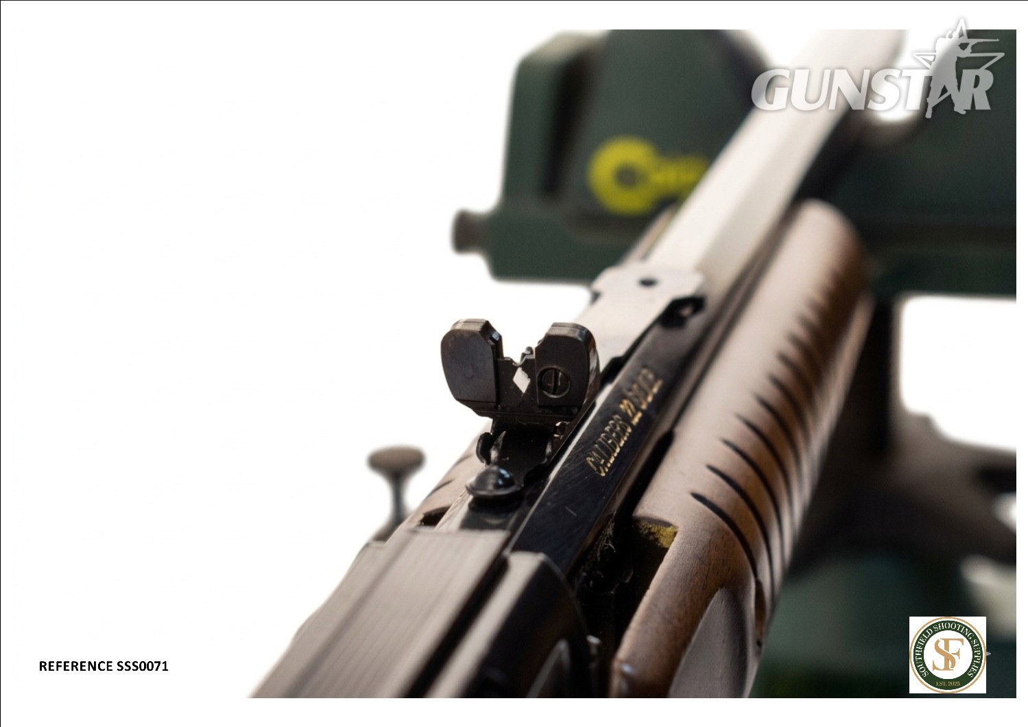 Henry Repeating Arms H003T Pump Action .22 Long Rifle (.22 LR) Rifle - {CATEGORY} in 