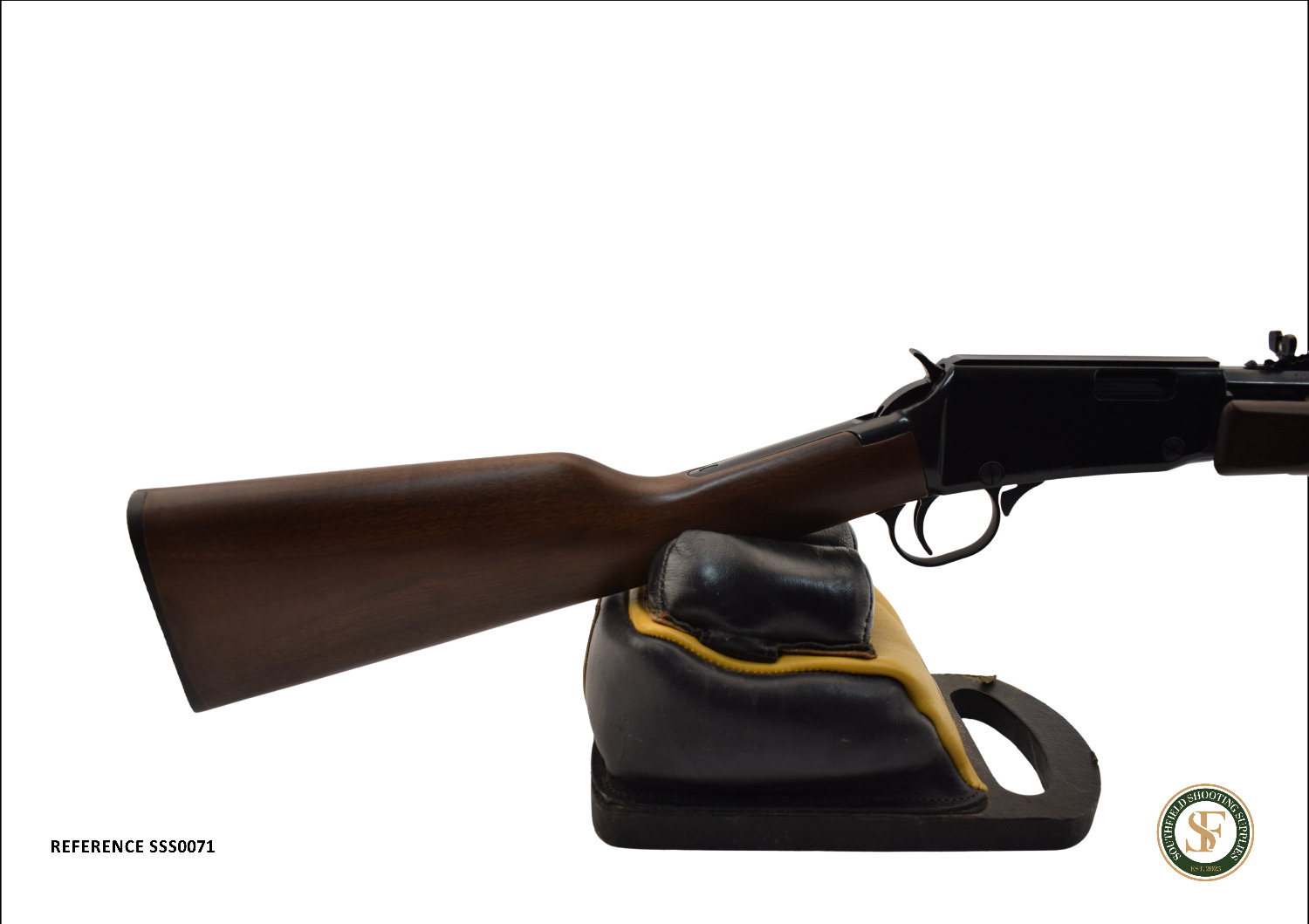  Henry Repeating Arms H003T Pump Action .22 Long Rifle (.22 LR) Rifle