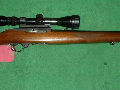 Ruger 10/22 Semi-Auto .22LR Rifle