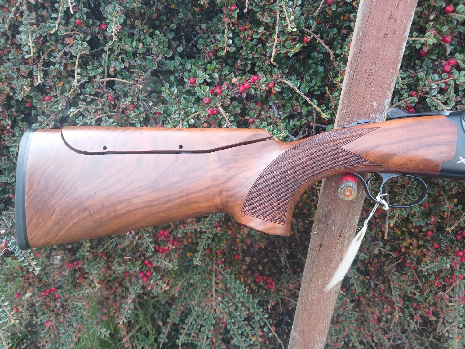 Fausti Stefano S.R.L. XF4 SPORT Over and Under 12 Bore/gauge - {CATEGORY} in 