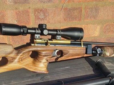 Crosman 2250 custom made  .22