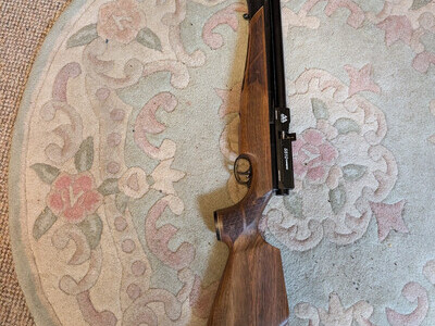 Air Arms S510 Carbine .22