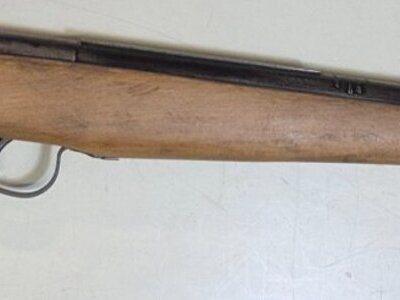 Webley & Scott Falcon .22