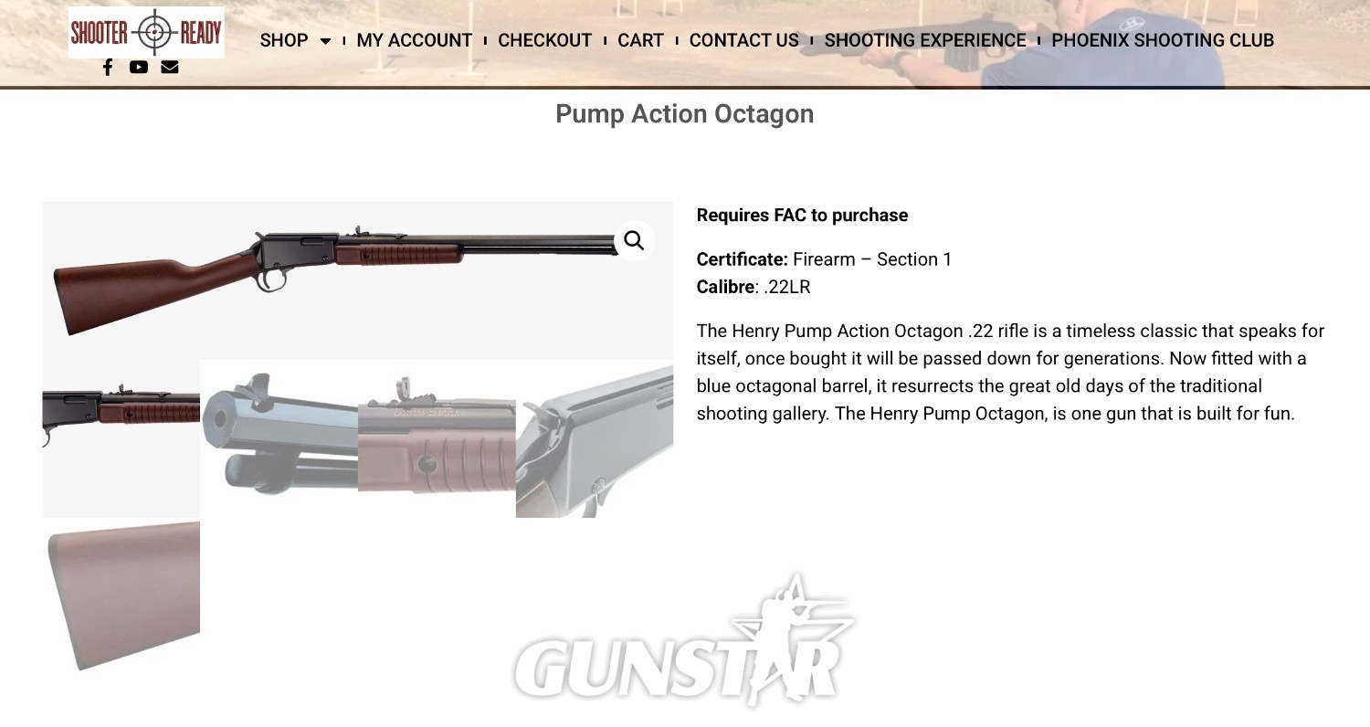 Henry Repeating Arms pump action Pump Action .22 Long Rifle (.22 LR) Rifle - {CATEGORY} in 