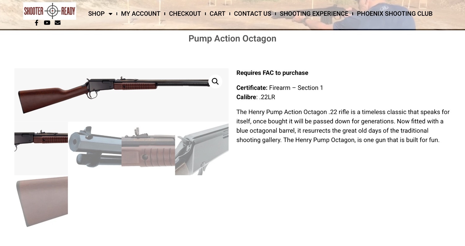 Henry Repeating Arms pump action Pump Action .22 Long Rifle (.22 LR) Rifle - {CATEGORY} in 