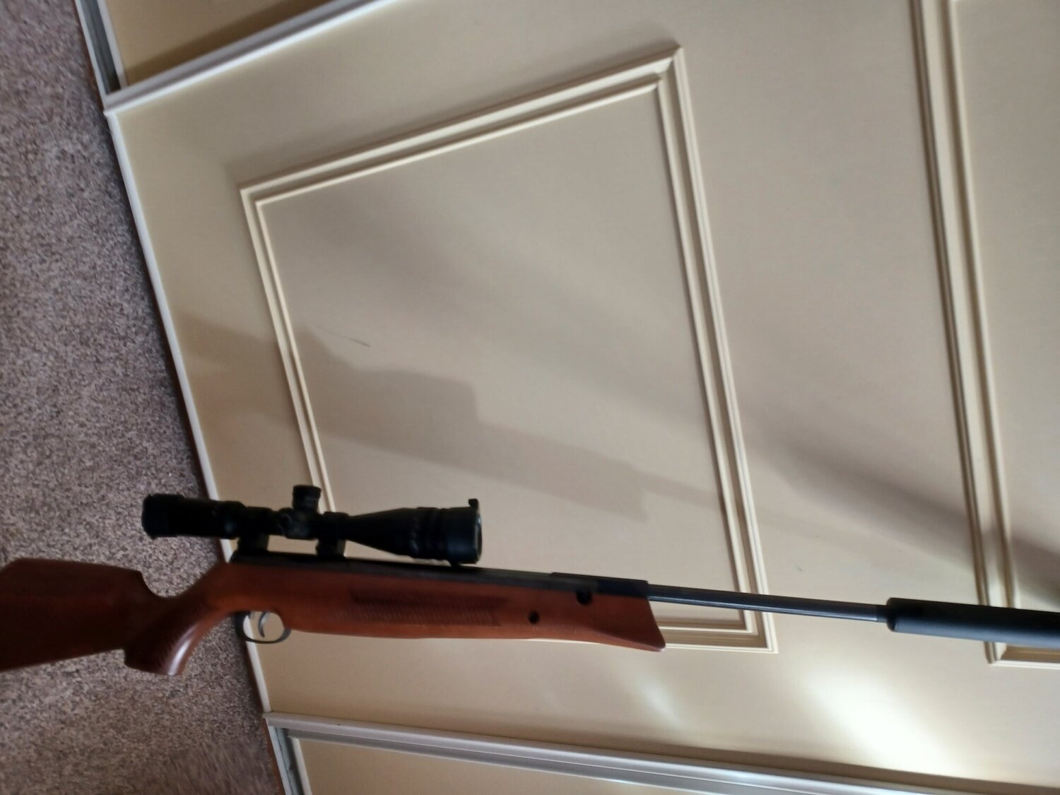 Snowpeak 1000pcp .22 