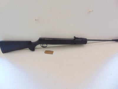 Remington Express XP .177
