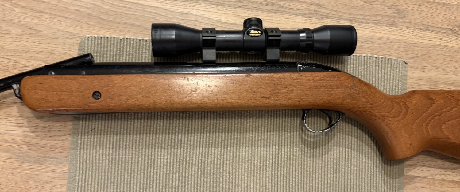 BSA Mercury .22