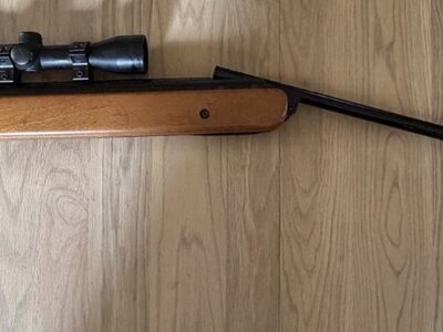 BSA Mercury .22