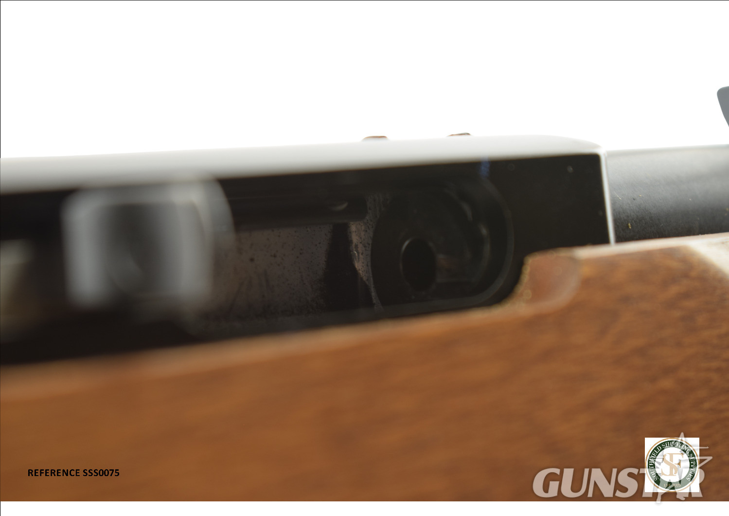 Ruger 10/22 Semi-Auto .22 Long Rifle (.22 LR) Rifle - {CATEGORY} in 