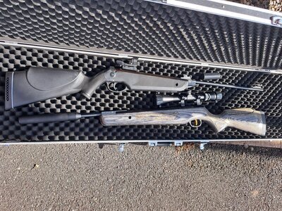 Cometa fenix -400-usc asi 177. And hammeri black force 400 22 Comita and hammeri .22