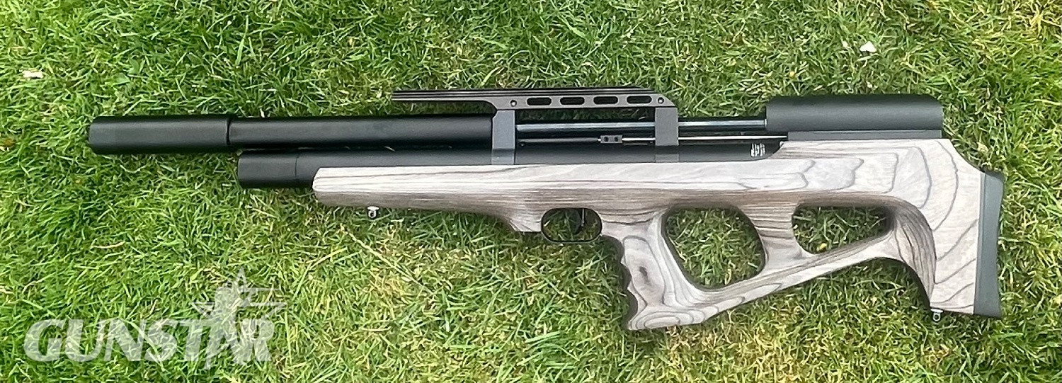 FX Airguns Wildcat .177 in 