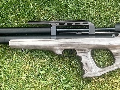 FX Airguns Wildcat .177