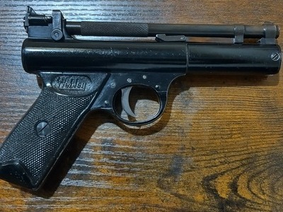 Webley & Scott Premier .22