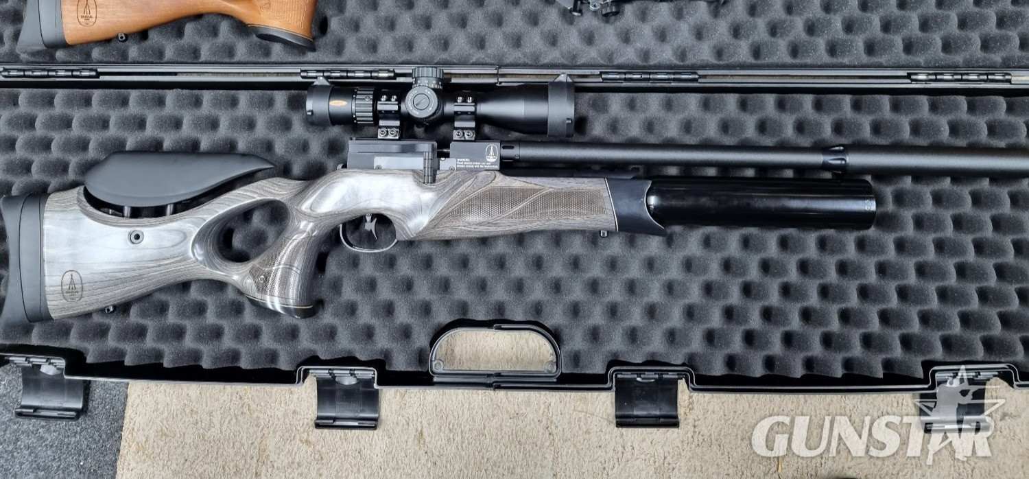  BSA R12 CLX Pro .22