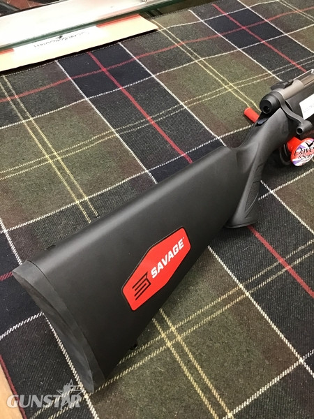 Savage Arms B-Mag Bolt Action .17 Rifle
