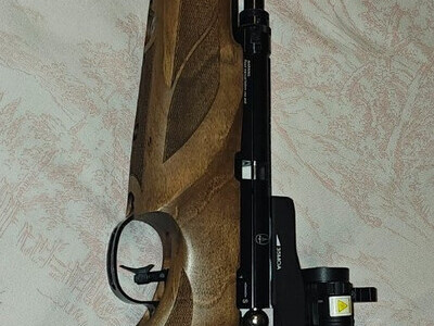 BSA R10 SE .22