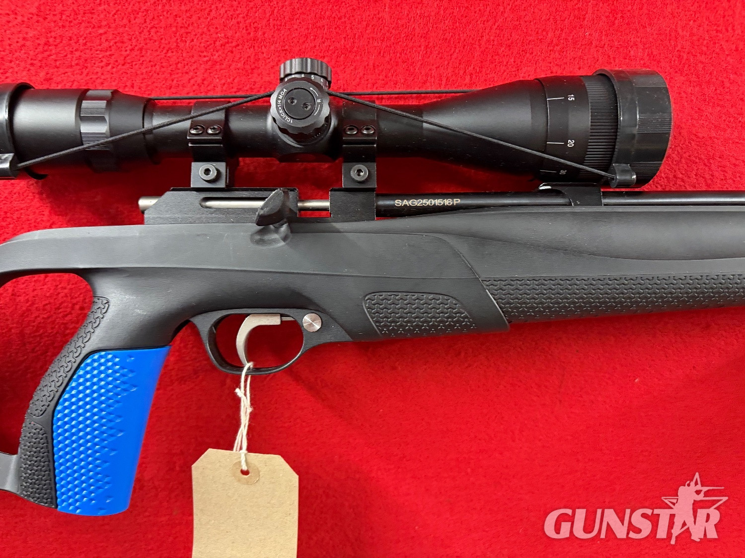 Stoeger XM1 .22