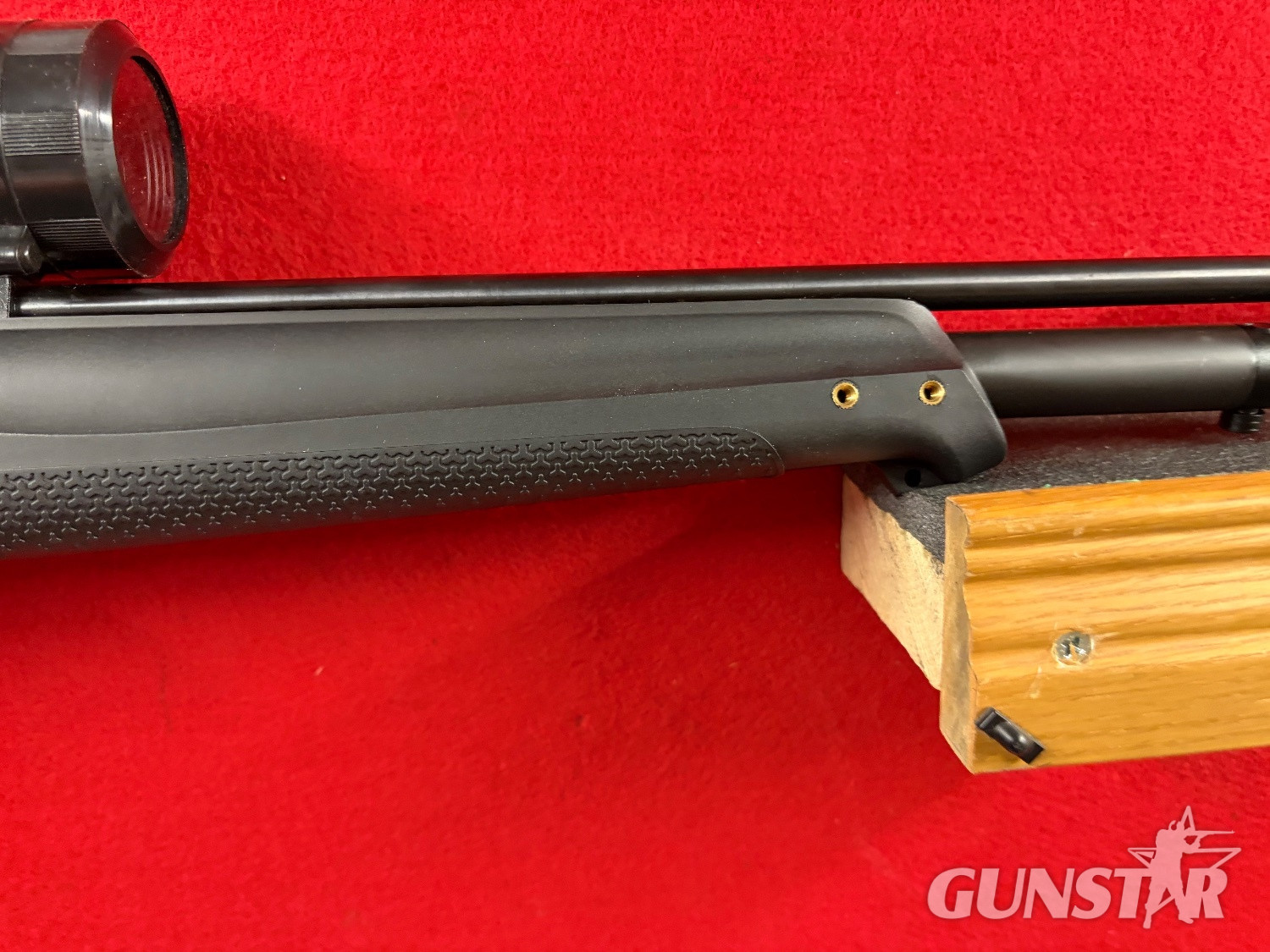  Stoeger XM1 .22