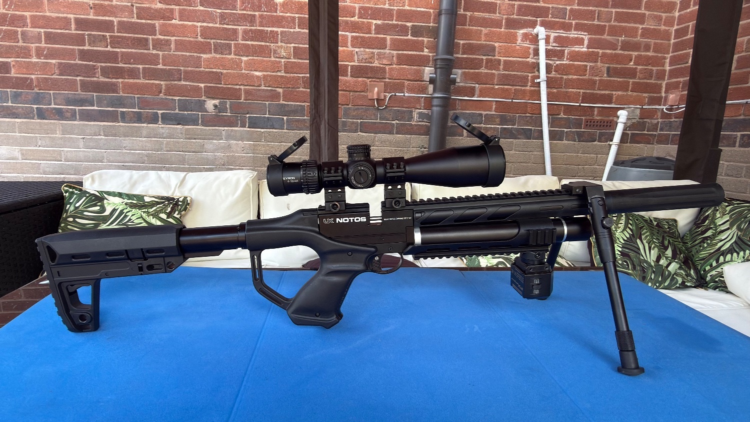  Umarex Notos .22