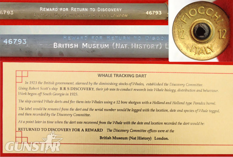 INERT DEACTIVATED. British Discovery Committee Whale Tracking Dart. -Sn 19887 INERT DEACTIVATED. British Discovery Committee Whale Tracking Dart. -Sn 19887  Other Ammunition
