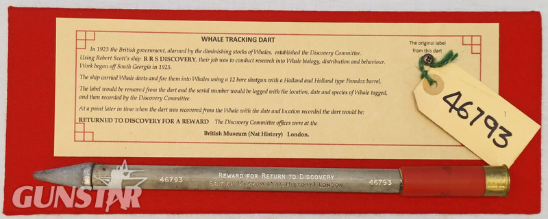  INERT DEACTIVATED. British Discovery Committee Whale Tracking Dart. -Sn 19887 INERT DEACTIVATED. British Discovery Committee Whale Tracking Dart. -Sn 19887  Other Ammunition