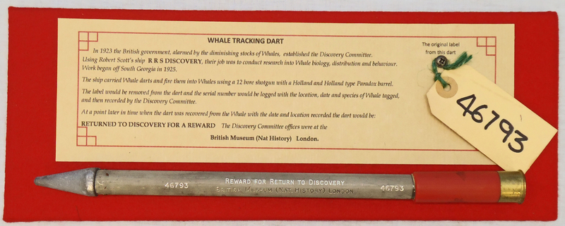  INERT DEACTIVATED. British Discovery Committee Whale Tracking Dart. -Sn 19887 INERT DEACTIVATED. British Discovery Committee Whale Tracking Dart. -Sn 19887  Other Ammunition