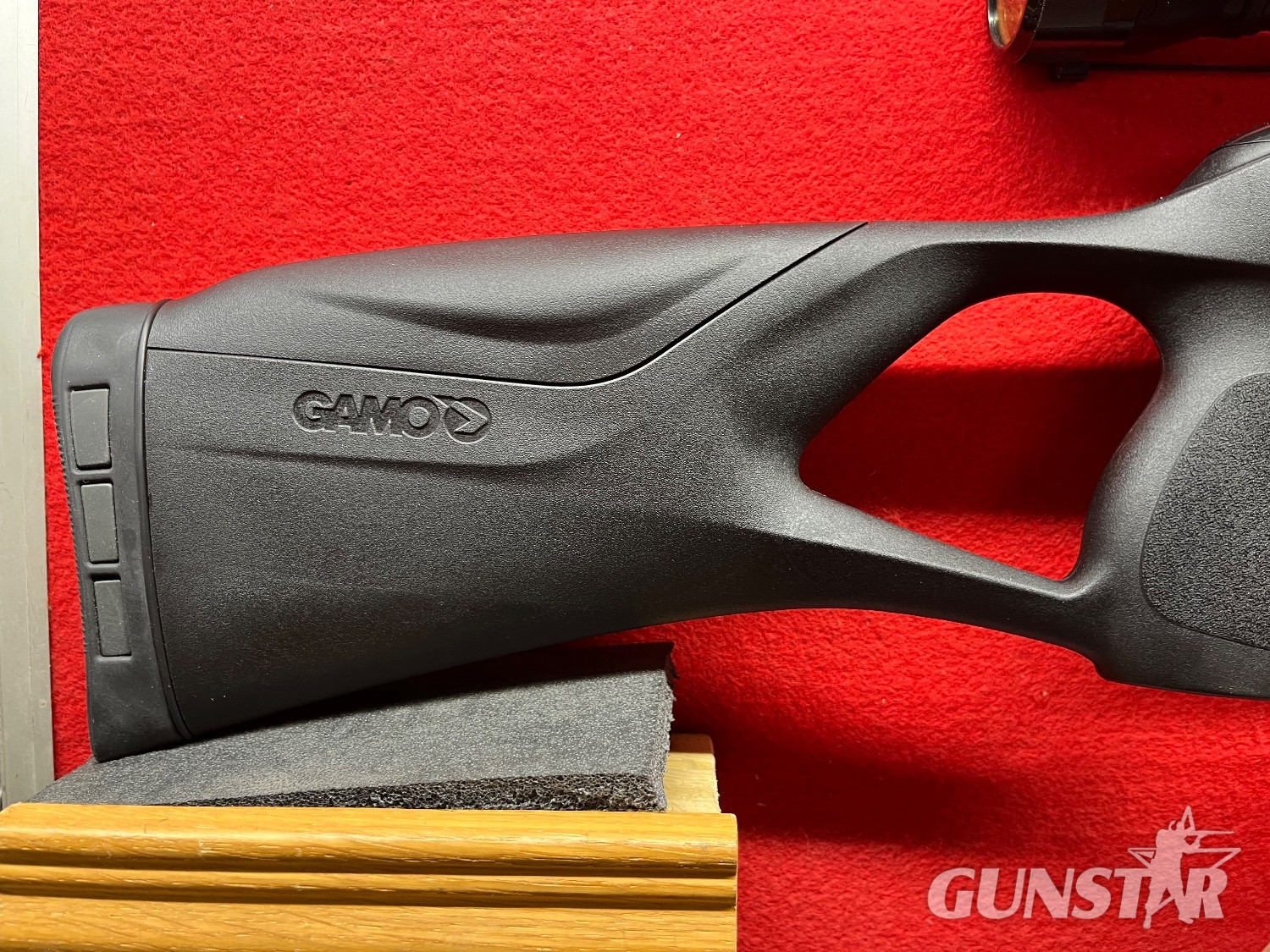 Gamo  .177 in 