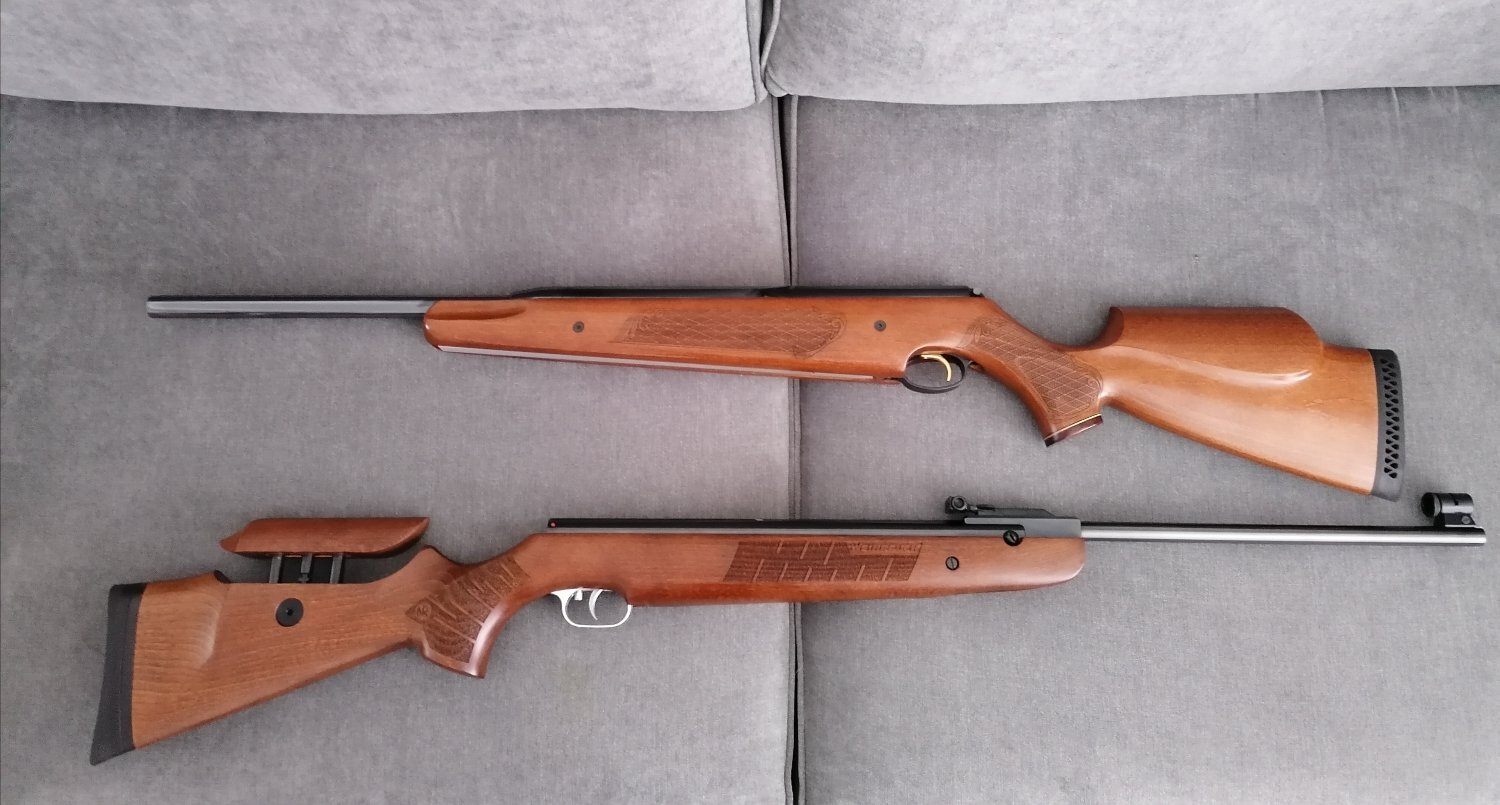 Air Arms Pro Sport .22 in 